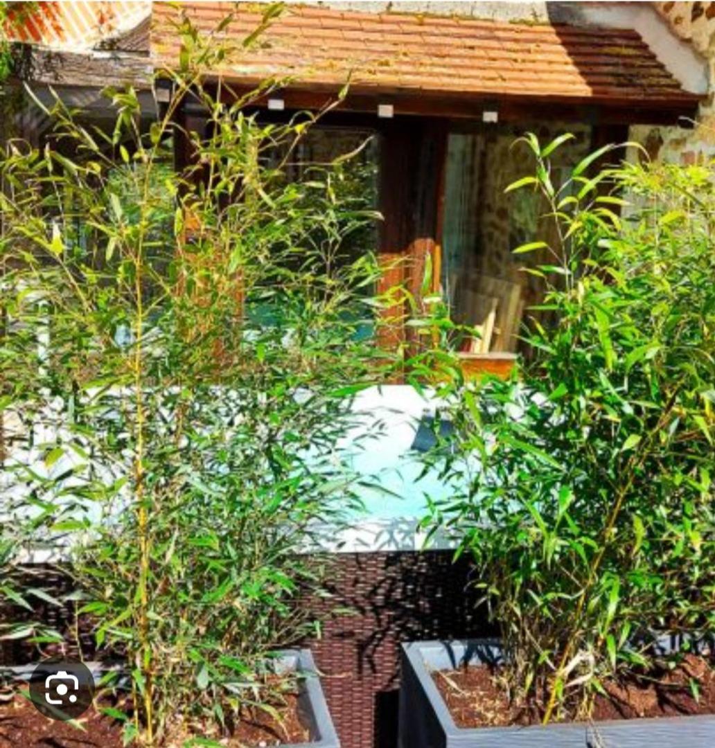 Les 3 Roses Bed and Breakfast Anjouin Εξωτερικό φωτογραφία